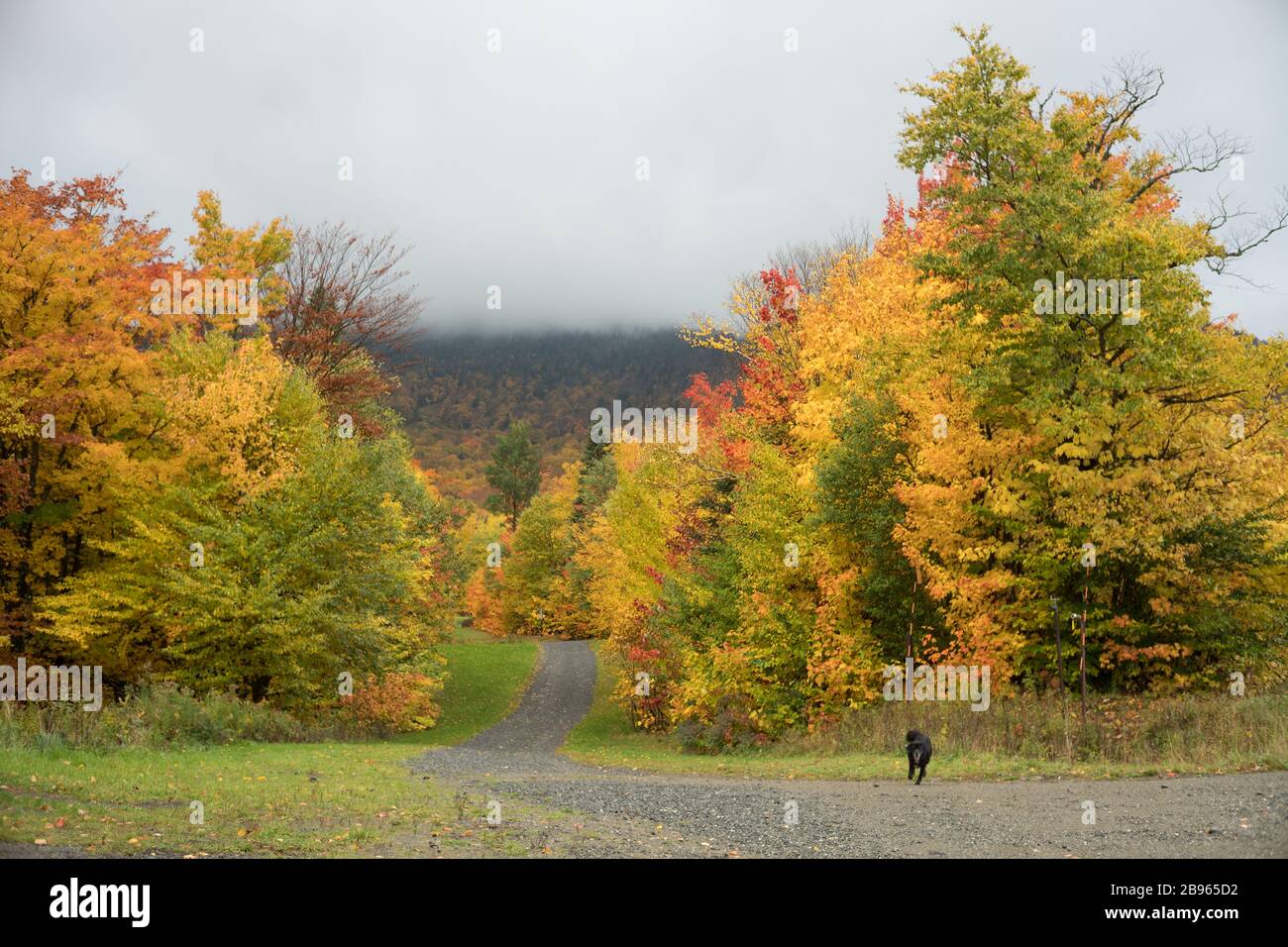 Narrow and secluded gravel road lined with colorful autumn leaves. Vermont, USA Stock Photo