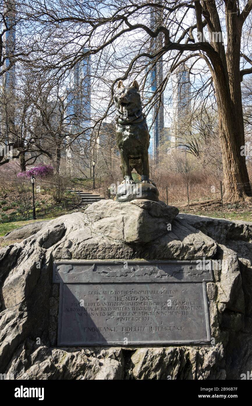 Famous Sled Dog Statue, Balto, in Central Park NYC Stock Photo Alamy