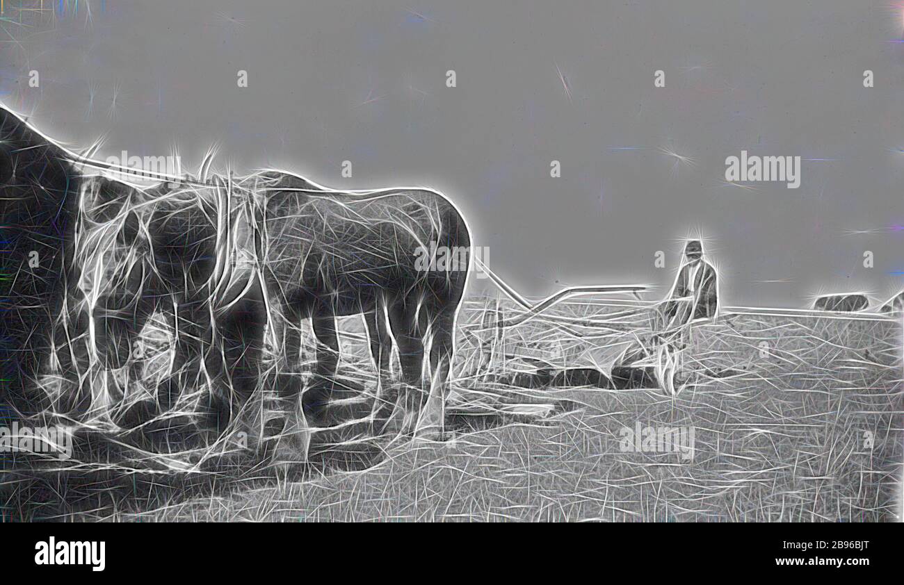 Negative Man Ploughing a Field With a Horse Drawn Plough, Dereel
