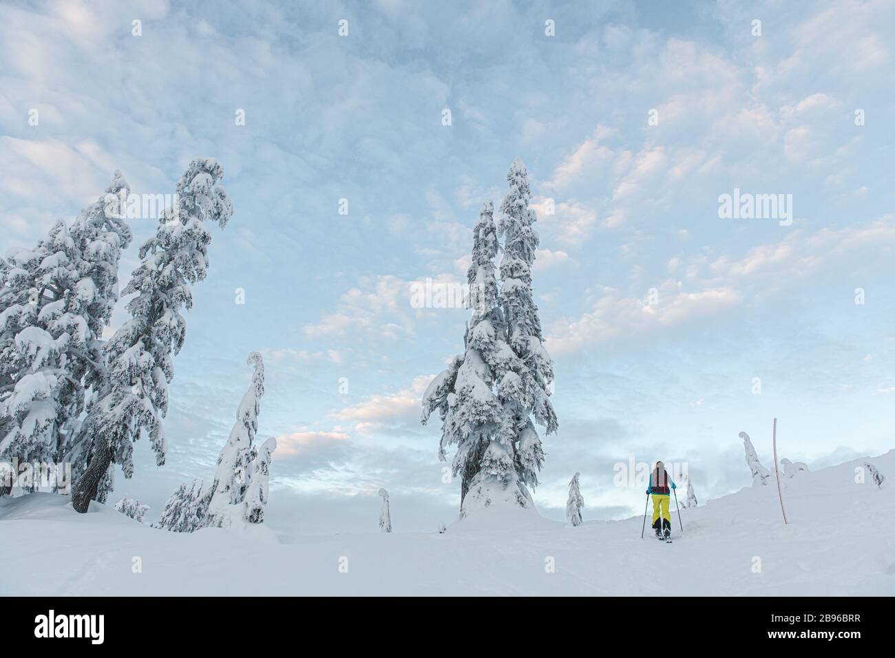 Rear view of person skiing through a wintry landscape. Stock Photo