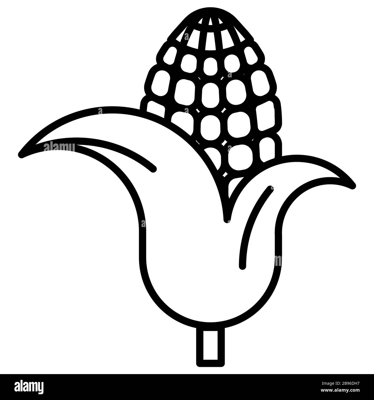 Sweet corn field Black and White Stock Photos & Images - Alamy