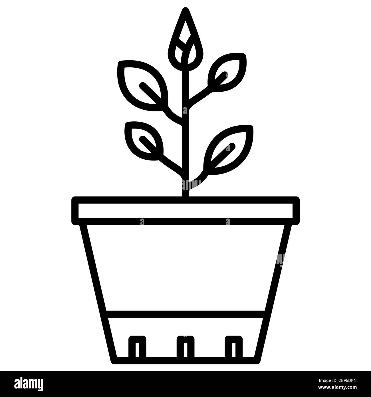 Flowerpot Stock Photo