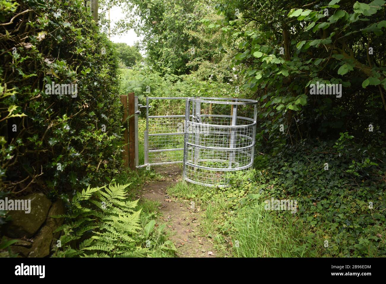 Stile on the UK's Shropshire way footpath with signs indicating the direction and asking for dog control. Stock Photo