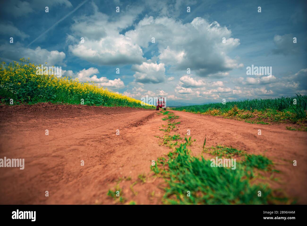 Red tractor in a field and dramatic clouds Stock Photo Alamy