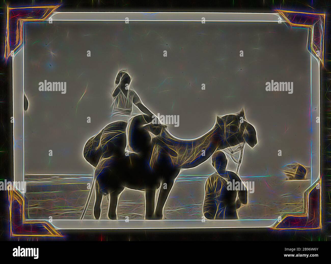 War Camel High Resolution Stock Photography And Images Alamy