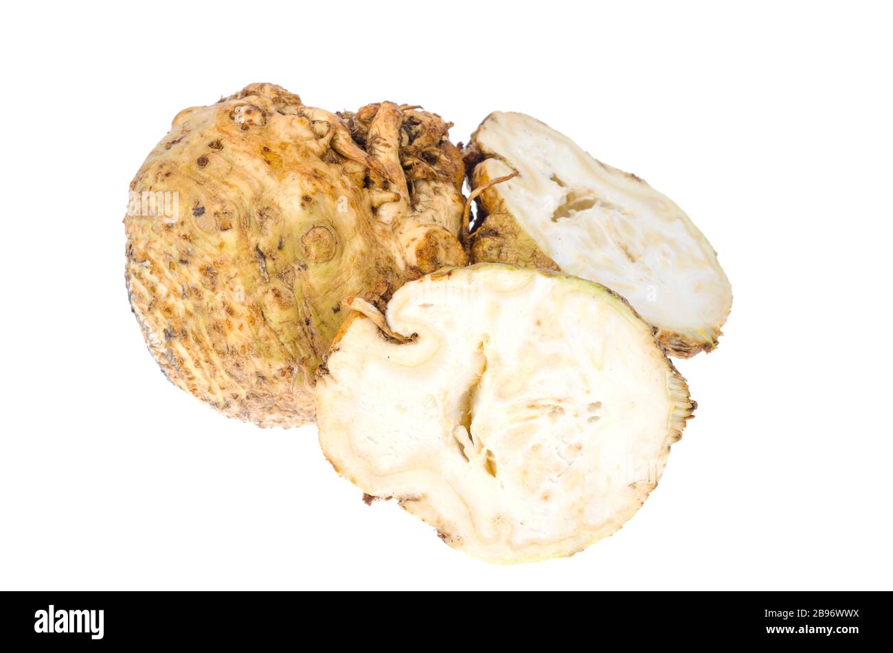 Fresh celery root isolated on white background. Studio Photo Stock ...