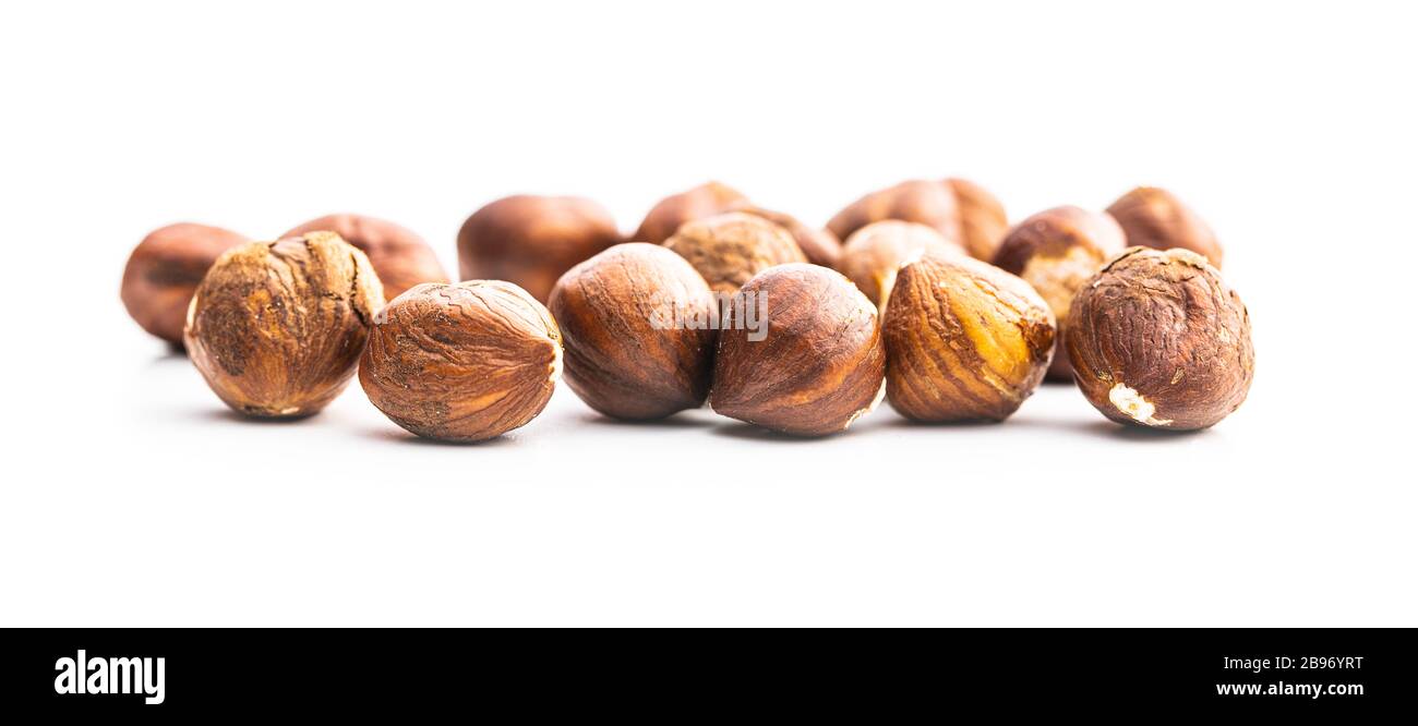 Peeled hazelnuts isolated on white backround. Stock Photo