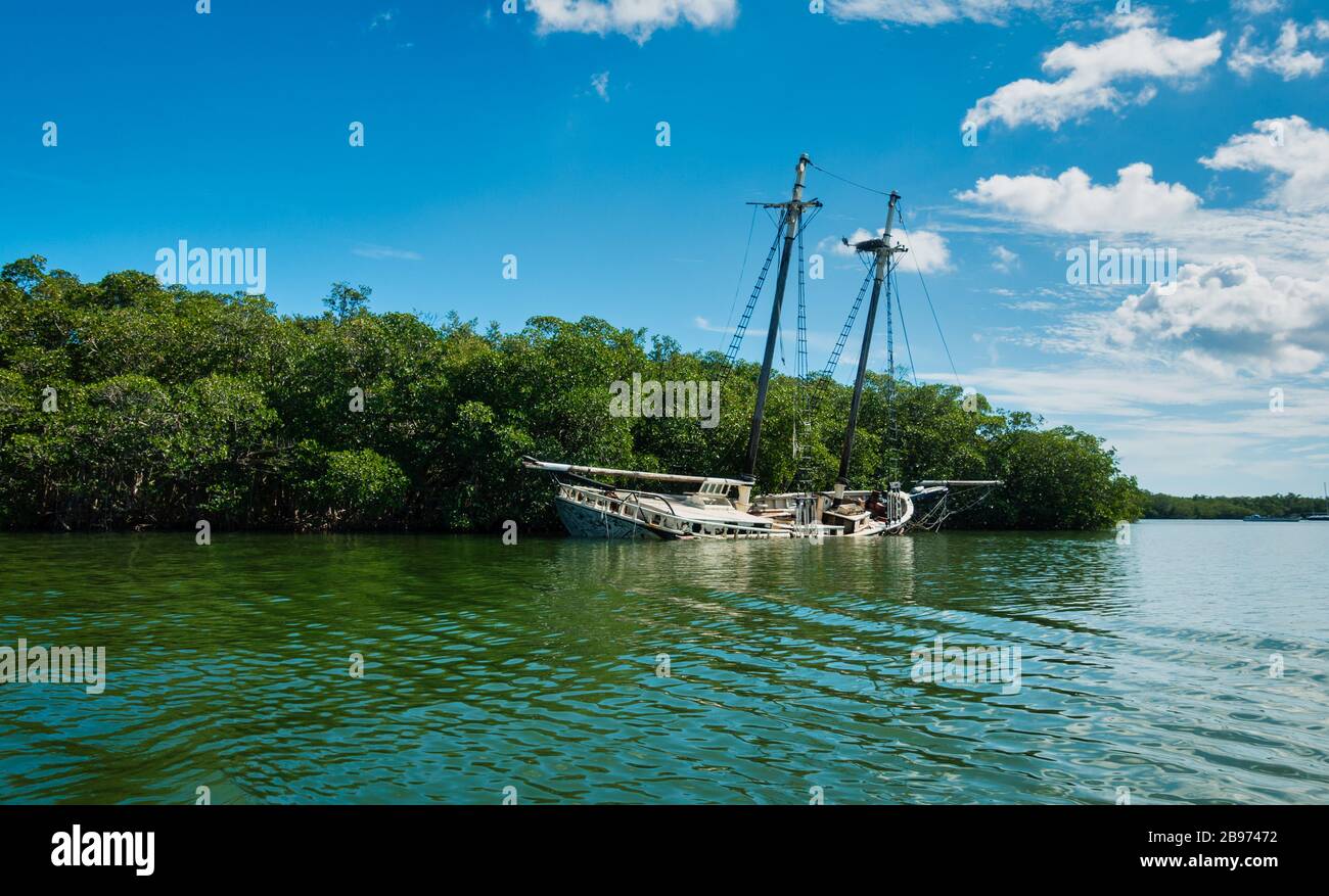 Old shipwreck in front of mangrove forest in Key Largo, Florida. Sunny day with clear blue sky. No people visible, green ocean. Stock Photo