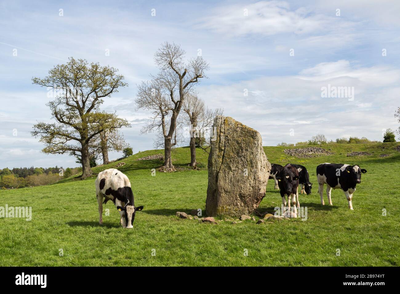 Mayburgh Henge Neolithic monument, Cumbria, England, UK Stock Photo