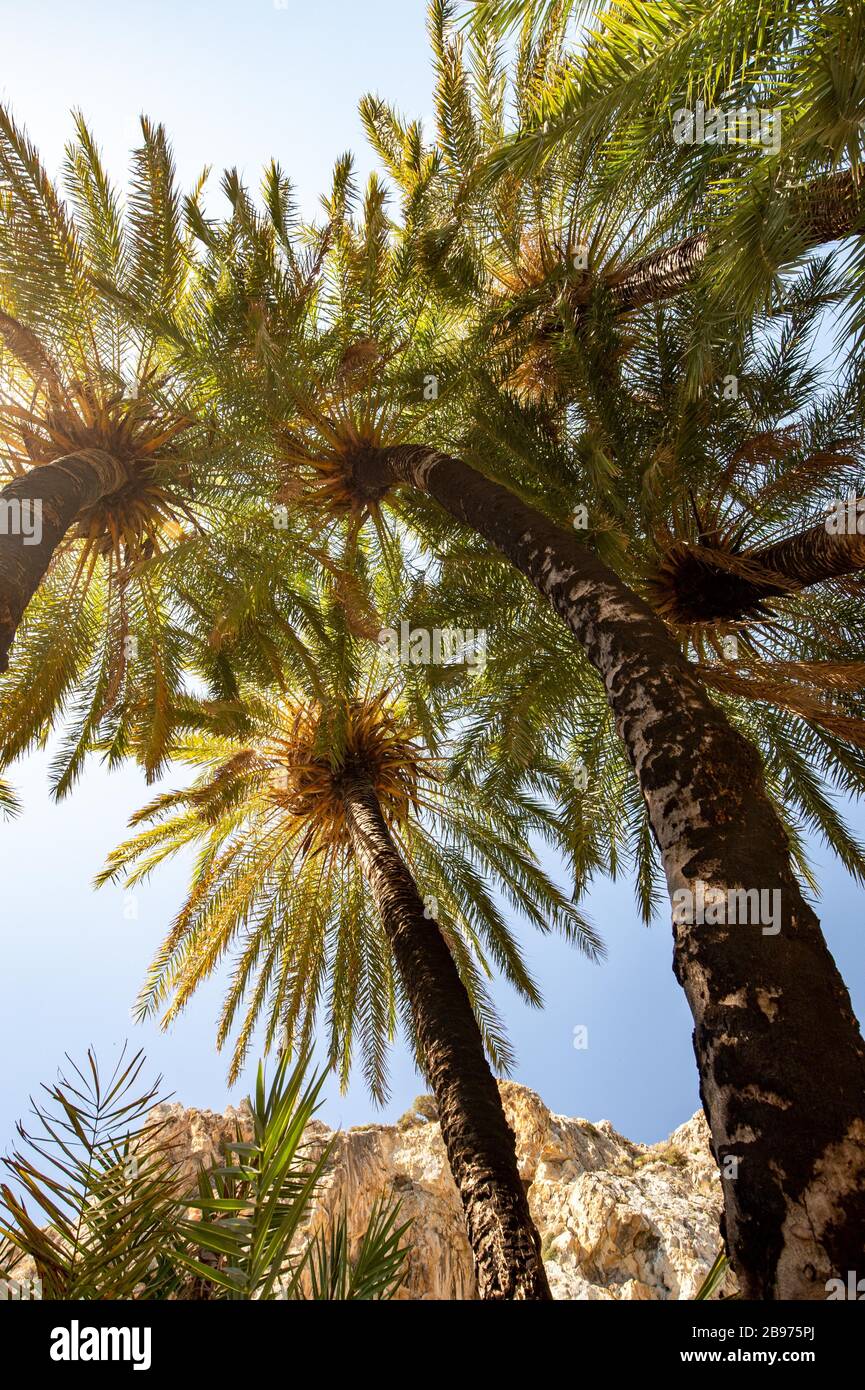 Preveli hires stock photography and images Alamy