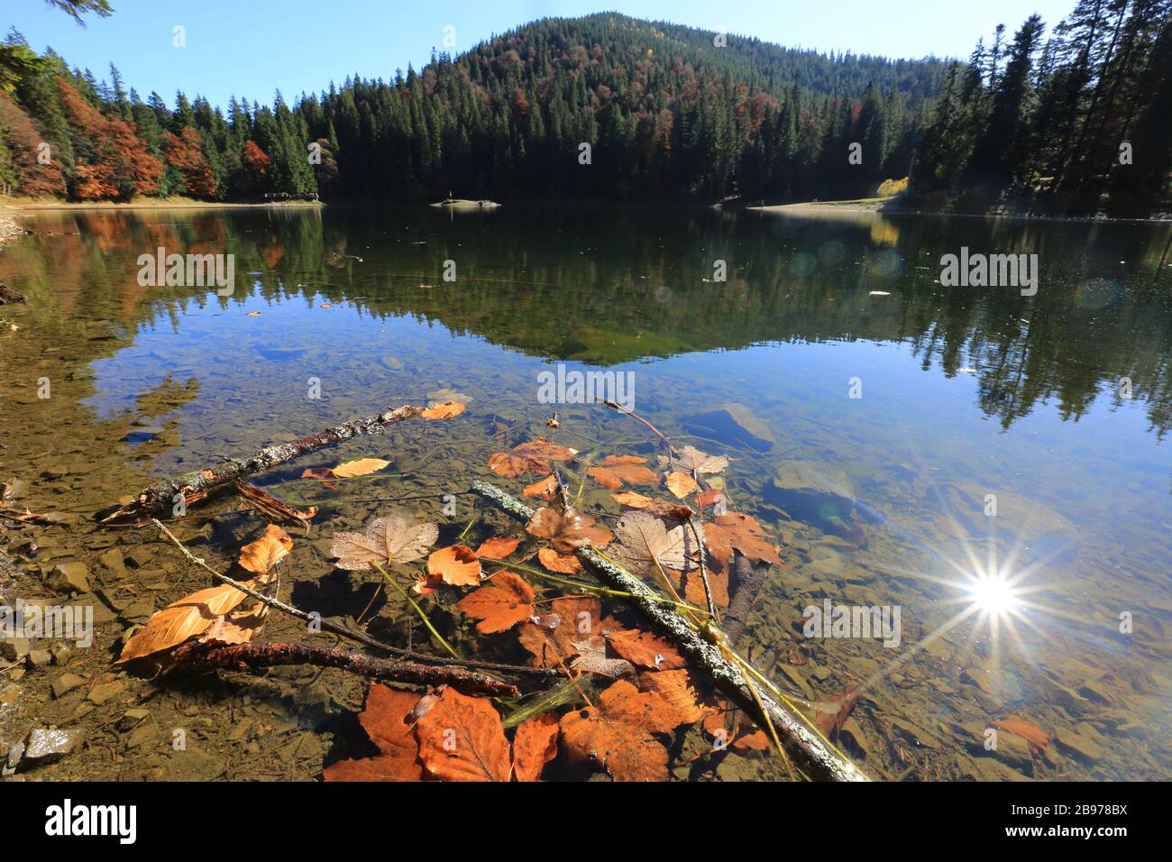 Autumn leafage in mountain lake Stock Photo