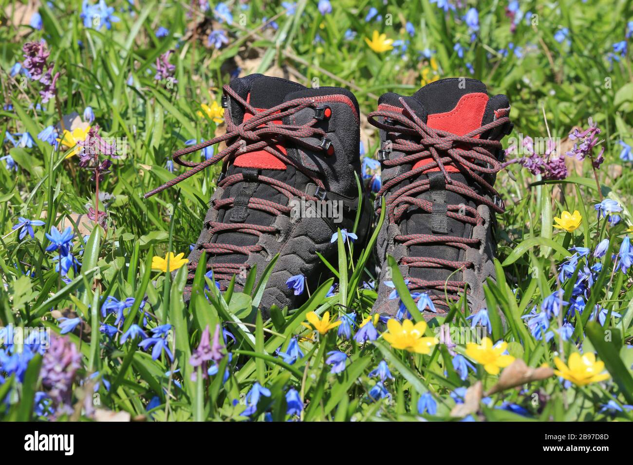 Closeup Pair Touristic Boot Hill Top Touristic Background Stock Photo by  ©york_76 410868746