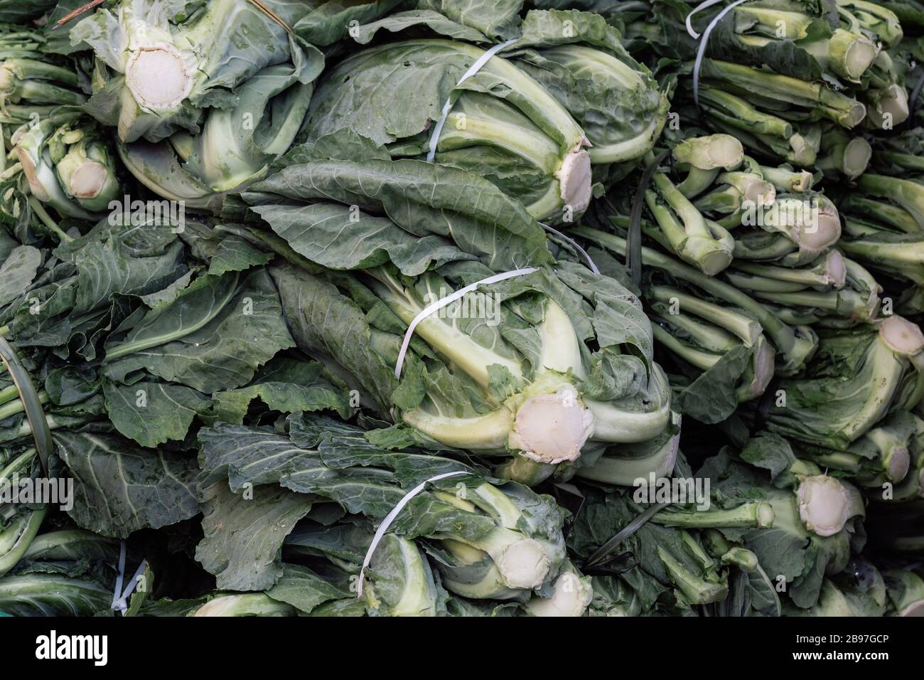 Bunch of ripe raw cabbage stem Stock Photo Alamy