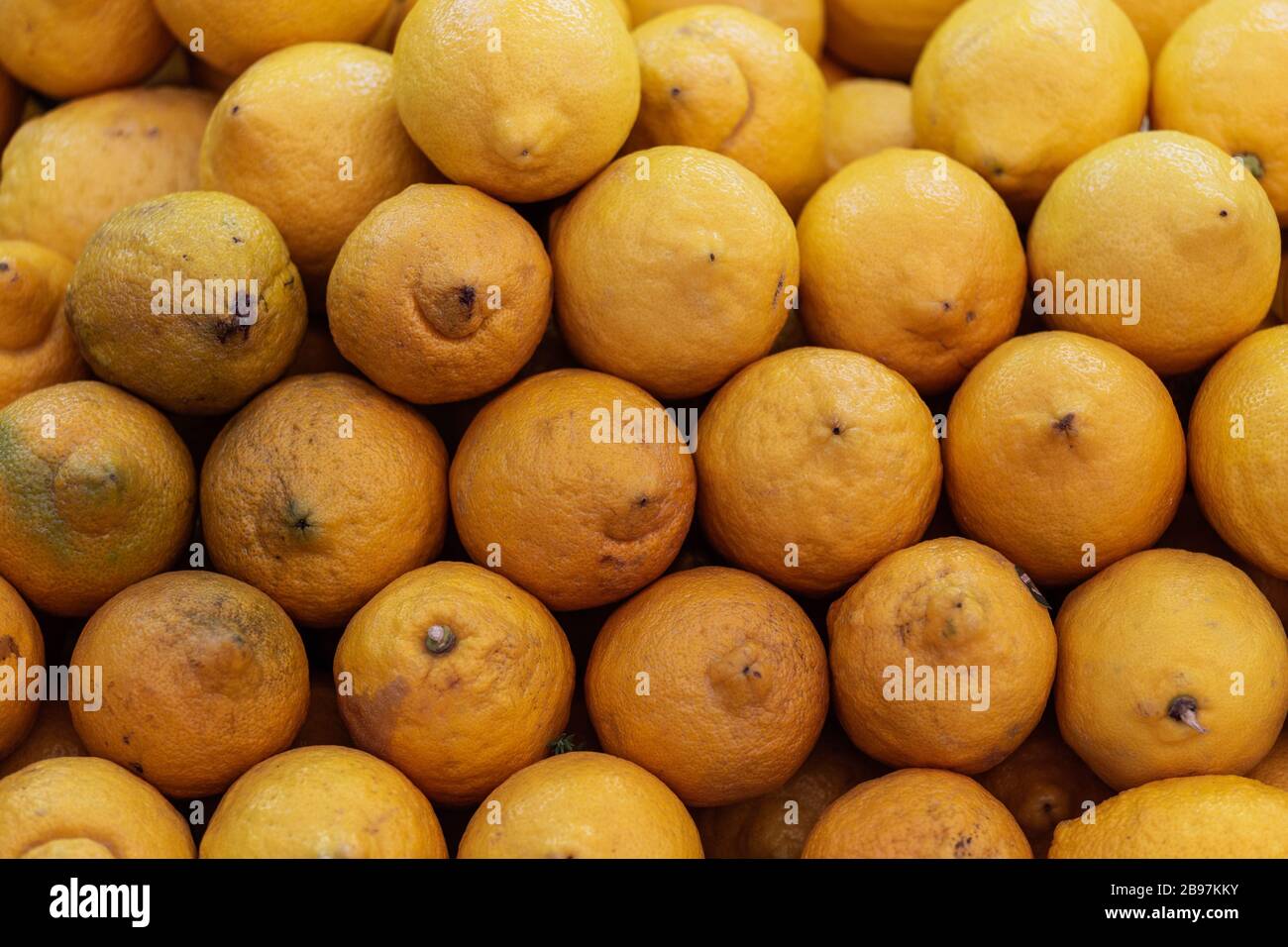 Food taste fresh fruit lemon produce juicy organic yellow hi-res stock ...