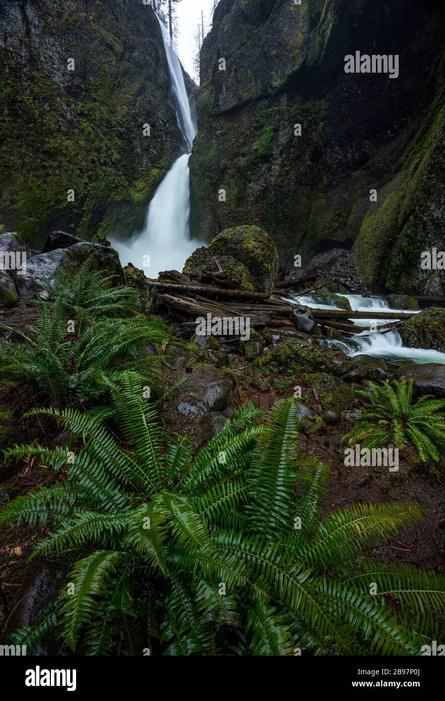 oregon-waterfall-at-wahclella-falls-stock-photo-alamy