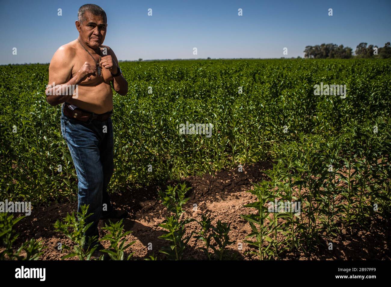 José Luis "El Zurdo" Ramírez, former Sonoran boxer. boxing champion