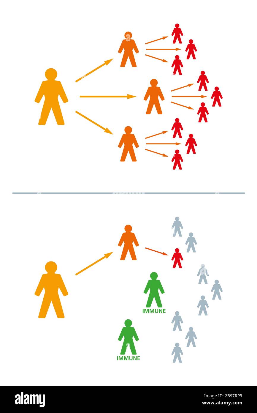 Immune or immunized people can stop an epidemic. If the number of immune people is large enough, the virus can no longer spread. Stock Photo