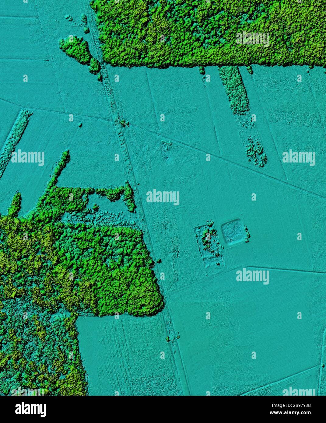 Digital elevation model. Hipsometric photo taken from a drone. It shows forest area with a lot