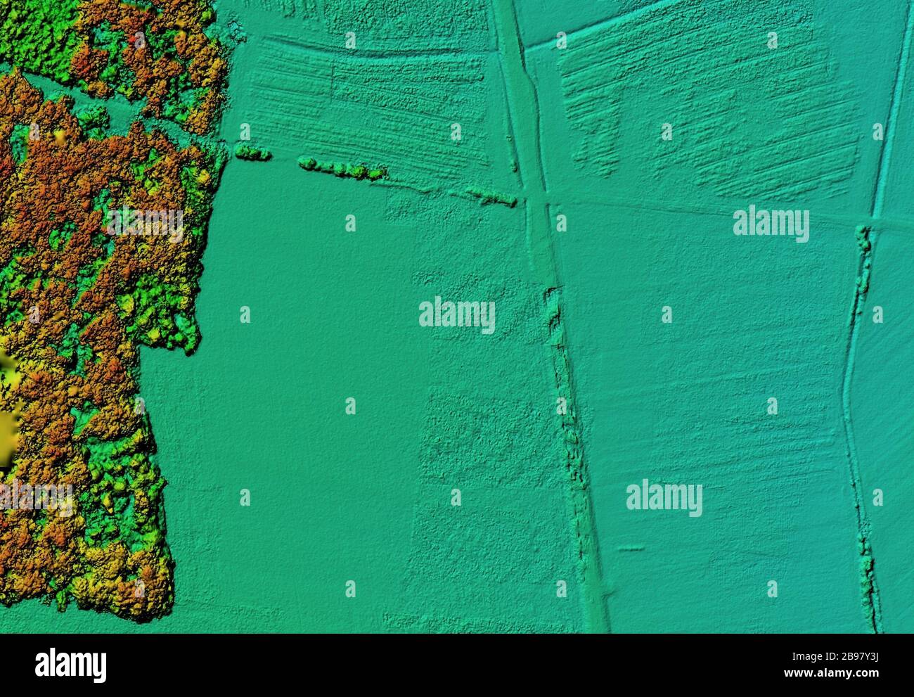 Digital elevation model. Hipsometric photo taken from a drone. It shows forest area with a lot