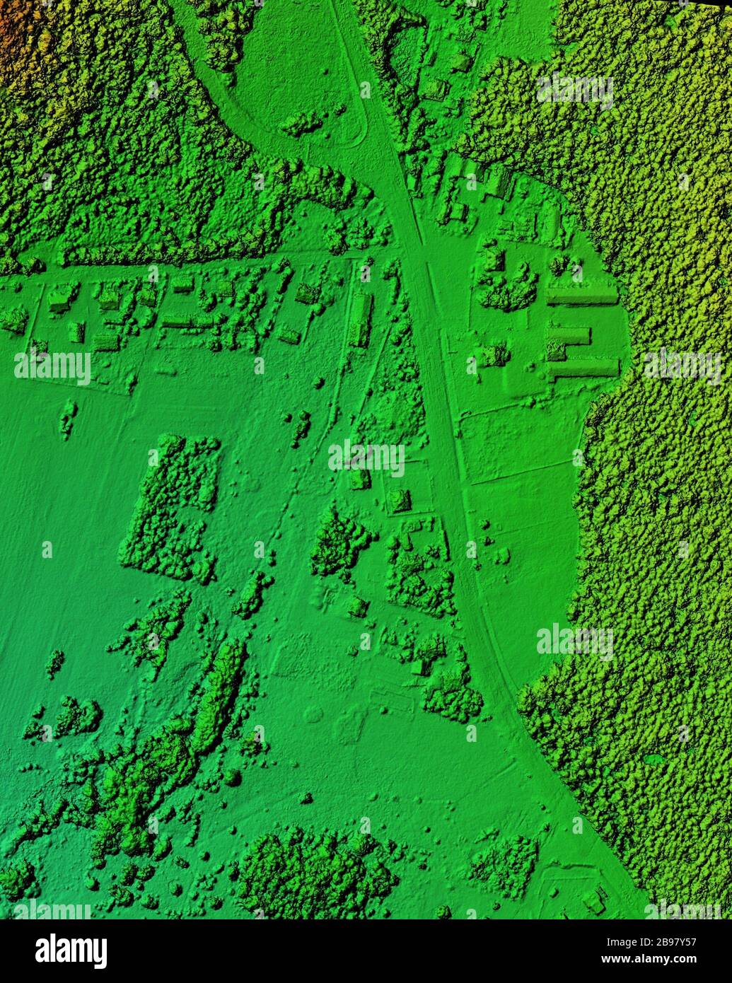 Digital elevation model. Hipsometric photo taken from a drone. It shows forest area with a lot