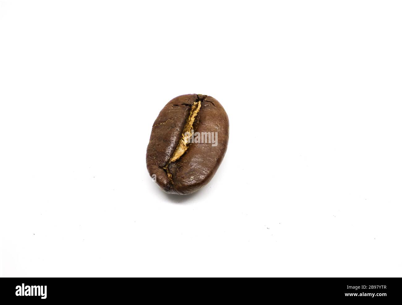 Coffee Bean Isolated on white background. macro coffee bean. Stock Photo