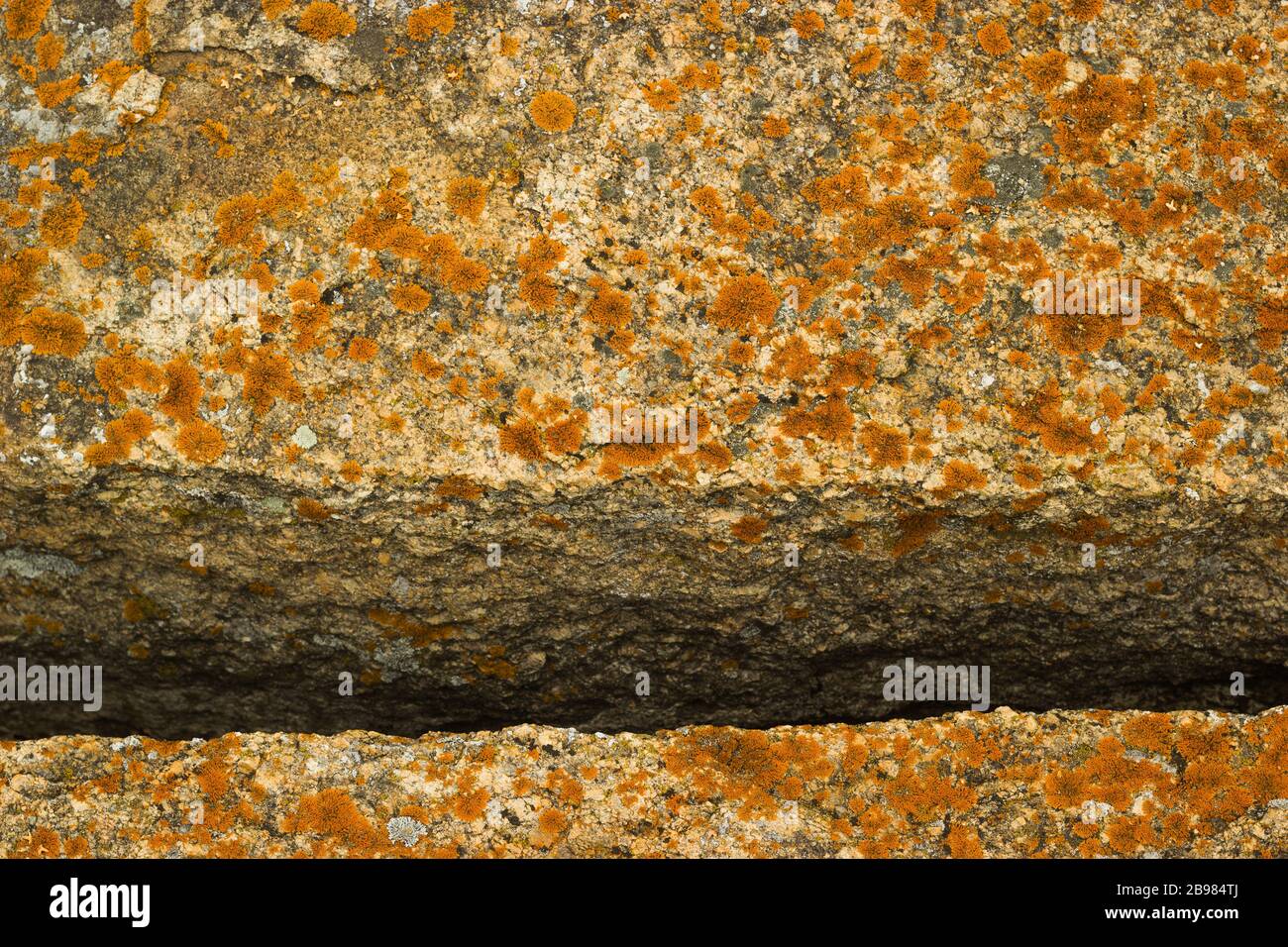 Split in red moss stone Stock Photo