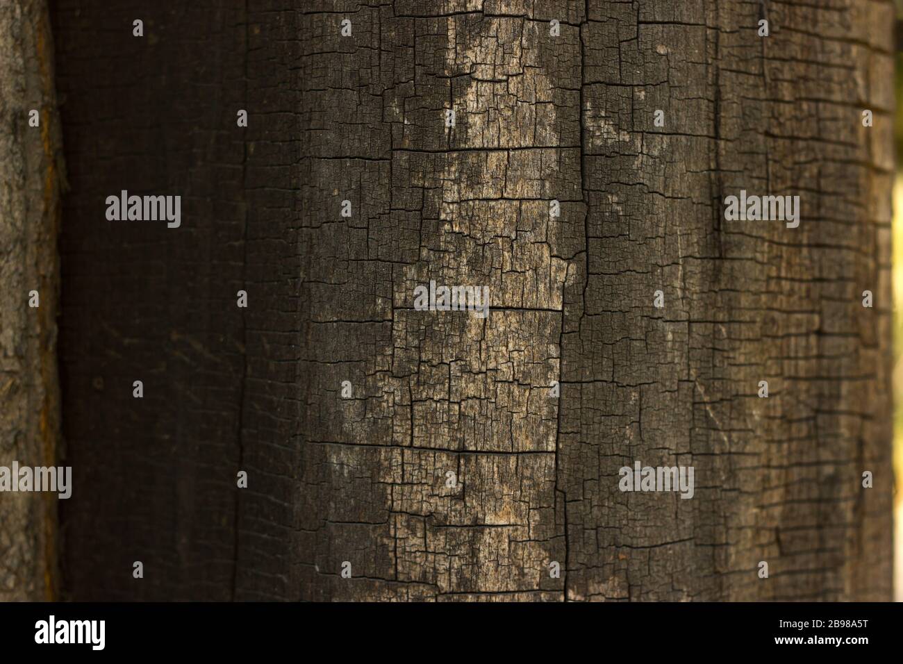 Cracked old wood background Stock Photo