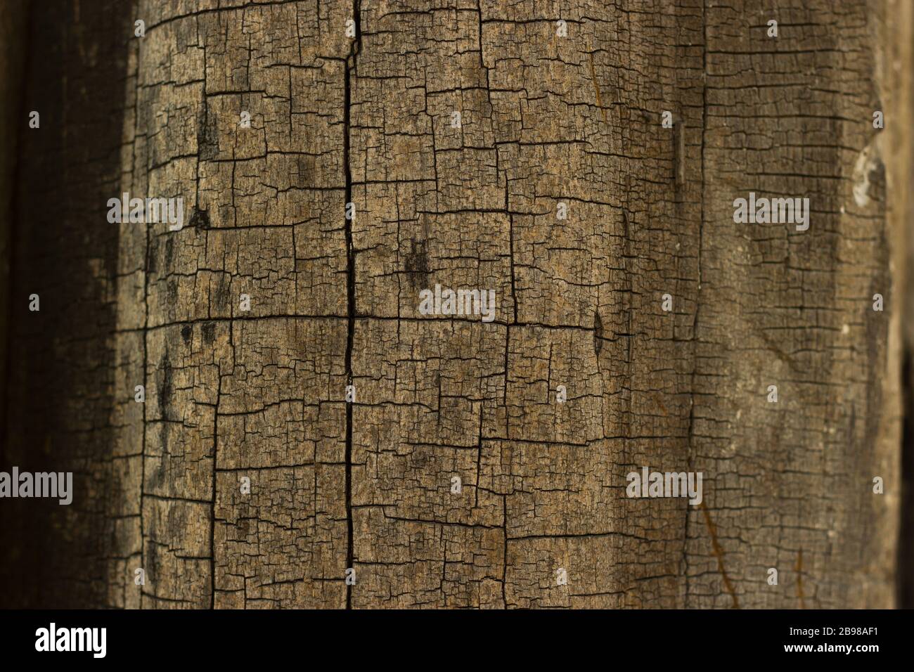 Old wood cracked background Stock Photo