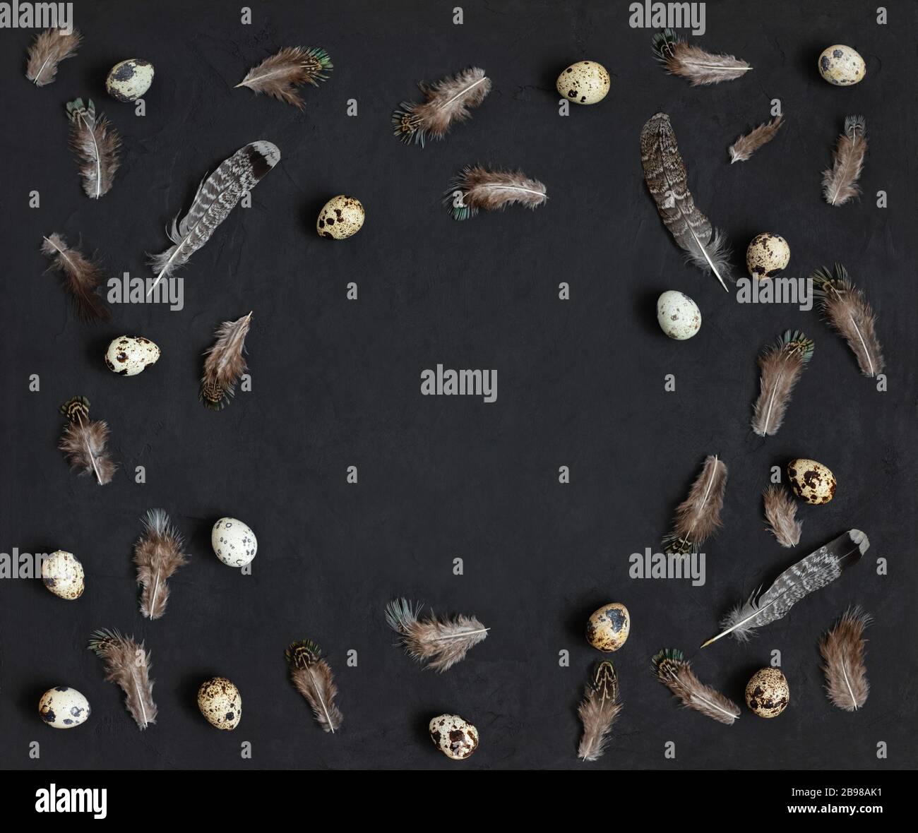 Easter border with quail eggs and feathers on a black background. Easter composition. Copy space, top view, flat lay. Stock Photo