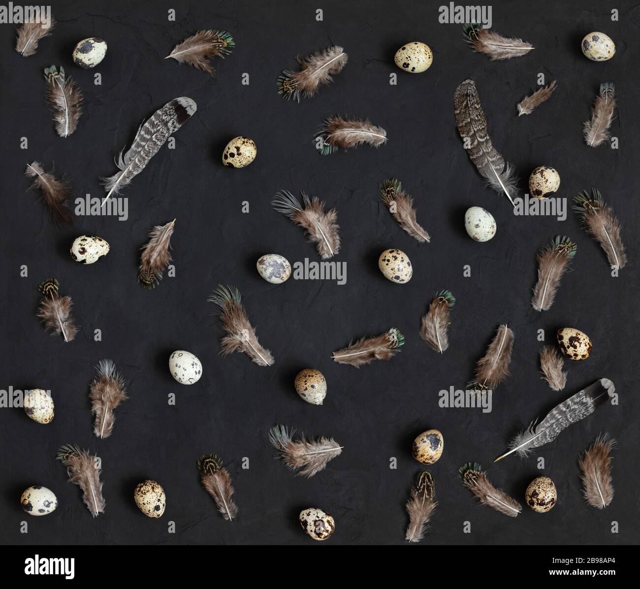 Easter festive pattern. Quail eggs and feathers on a black background. Minimal concept. Top view, flat lay. Stock Photo