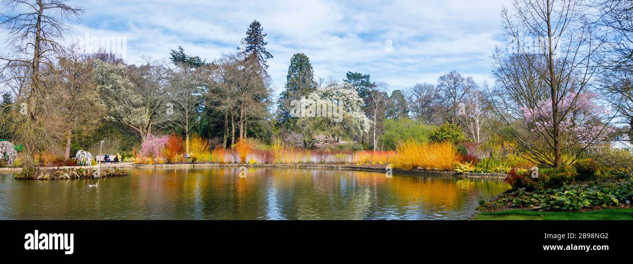 The lake in Seven Acres, RHS Garden, Wisley, Surrey with a colourful
