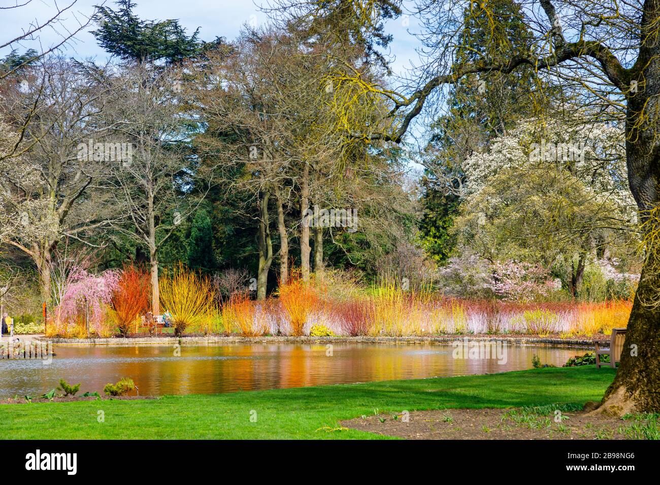 The lake in Seven Acres, RHS Garden, Wisley, Surrey with a colourful