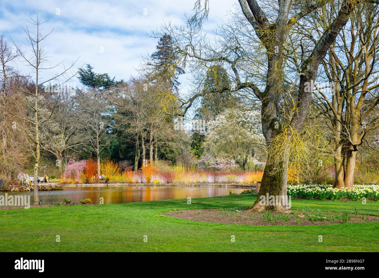The lake in Seven Acres, RHS Garden, Wisley, Surrey with a colourful