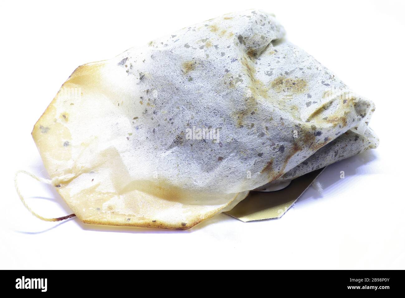 Top 75+ can tea bags get moldy best esthdonghoadian