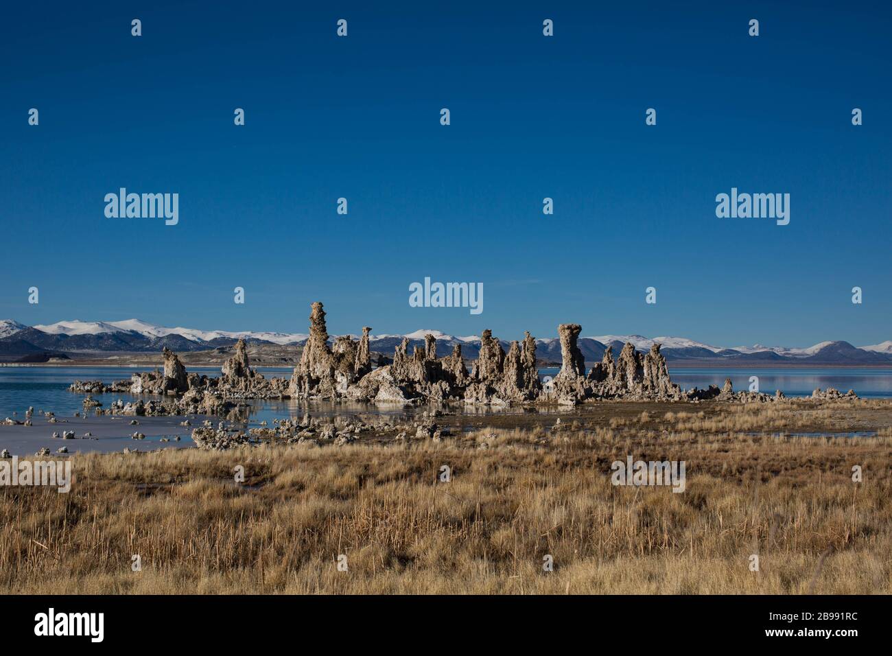 mono lake state park tufa towers with snow capped mountains in the background Stock Photo