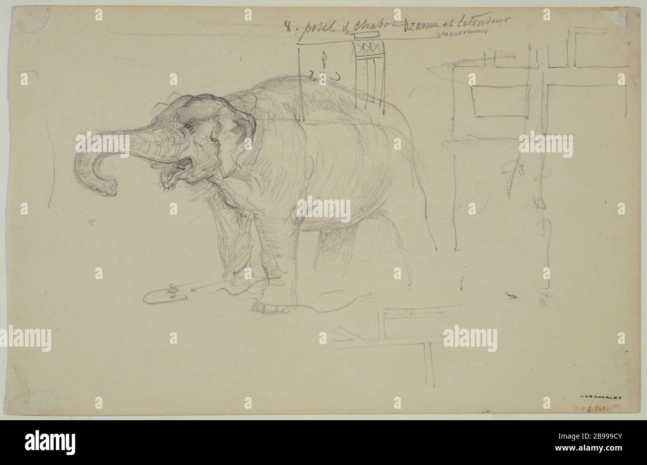 Eléphant by Gustave Dore Stock Photo - Alamy, image size:1300x934