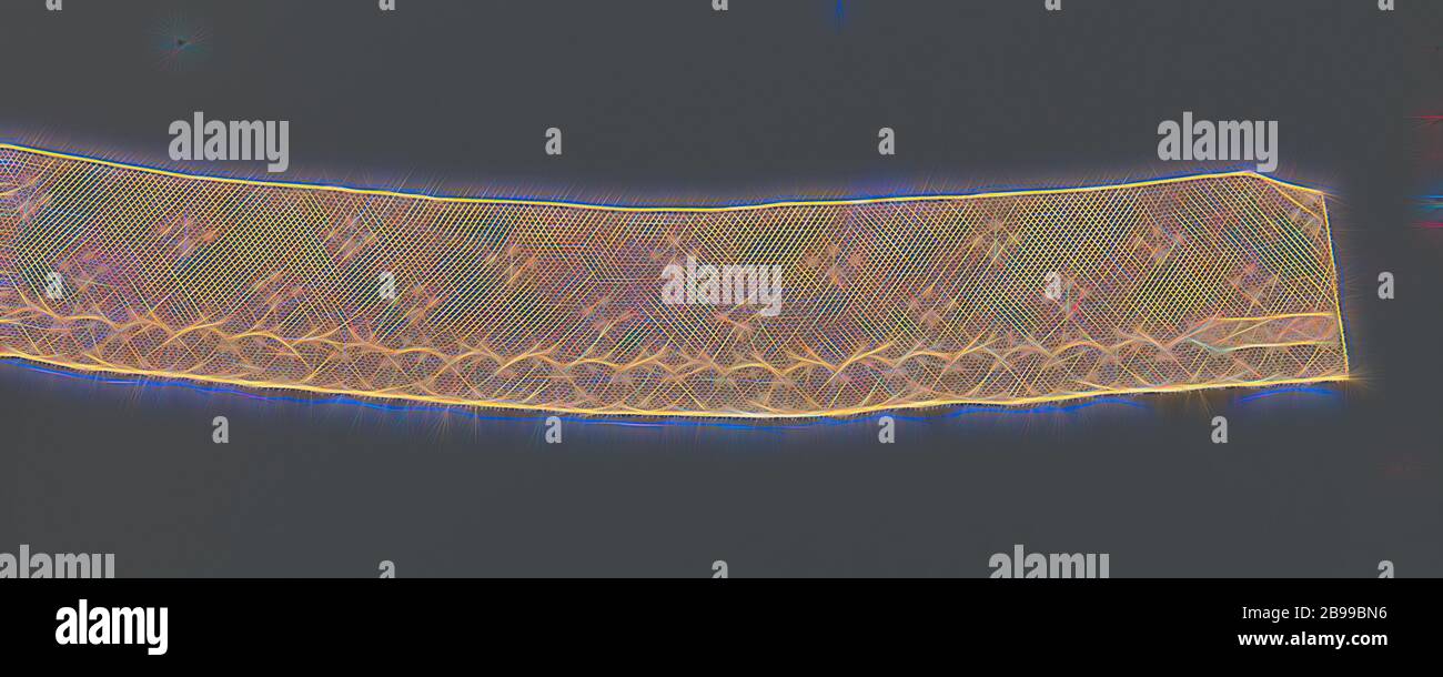Strip of bobbin lace with spreading pattern of leaves topped by three separate dots, Strip of natural-colored bobbin lace: Valenciennes lace. Under a scattering pattern of small triple leaves topped by three loose dots, runs a double thin branch with small leaves along the bottom edge. The upper of the two tendrils runs in arcs, the branch that runs directly along the bottom is straight. The motifs are connected by a mesh ground, the diamond-shaped Valenciennes ground. The motifs are made in linen with openwork edges. The top and bottom are straight finished, with the bottom provided with pico Stock Photo
