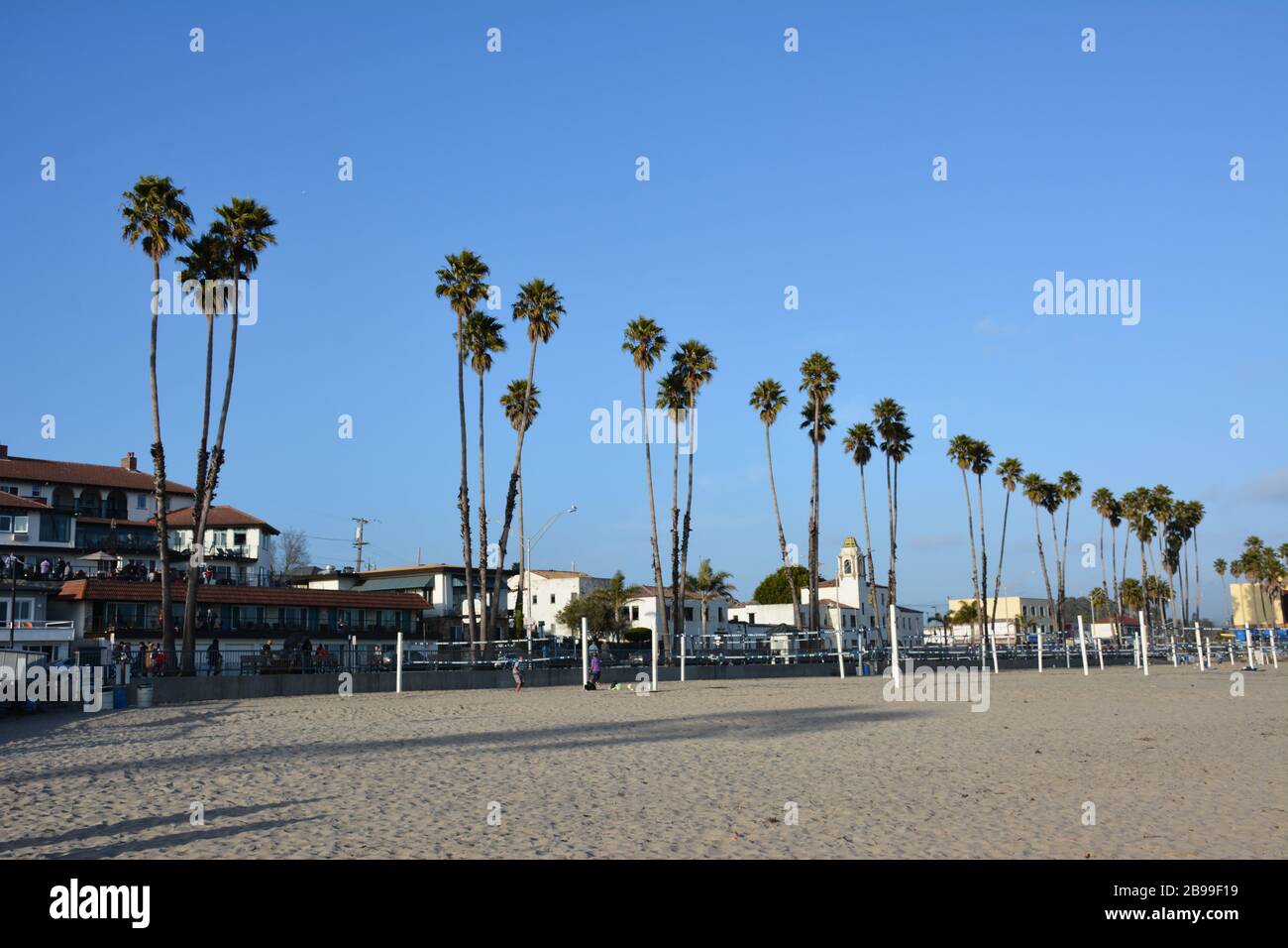 Tall palm trees between the beach and the waterfont in the City of ...