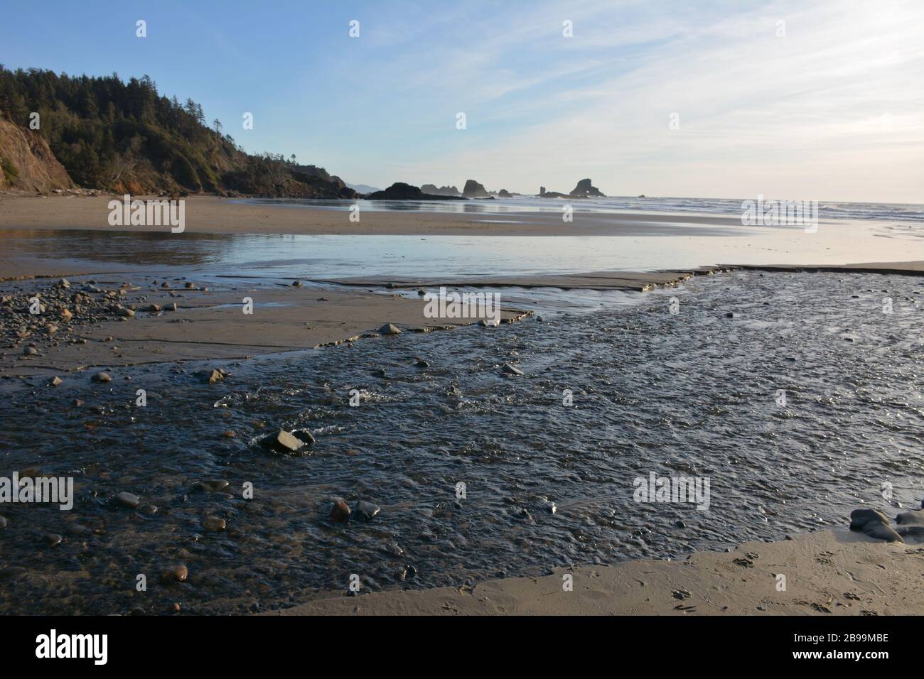 Low tide at Indian Beach, Ecola State Park, Oregon, USA Stock Photo Alamy