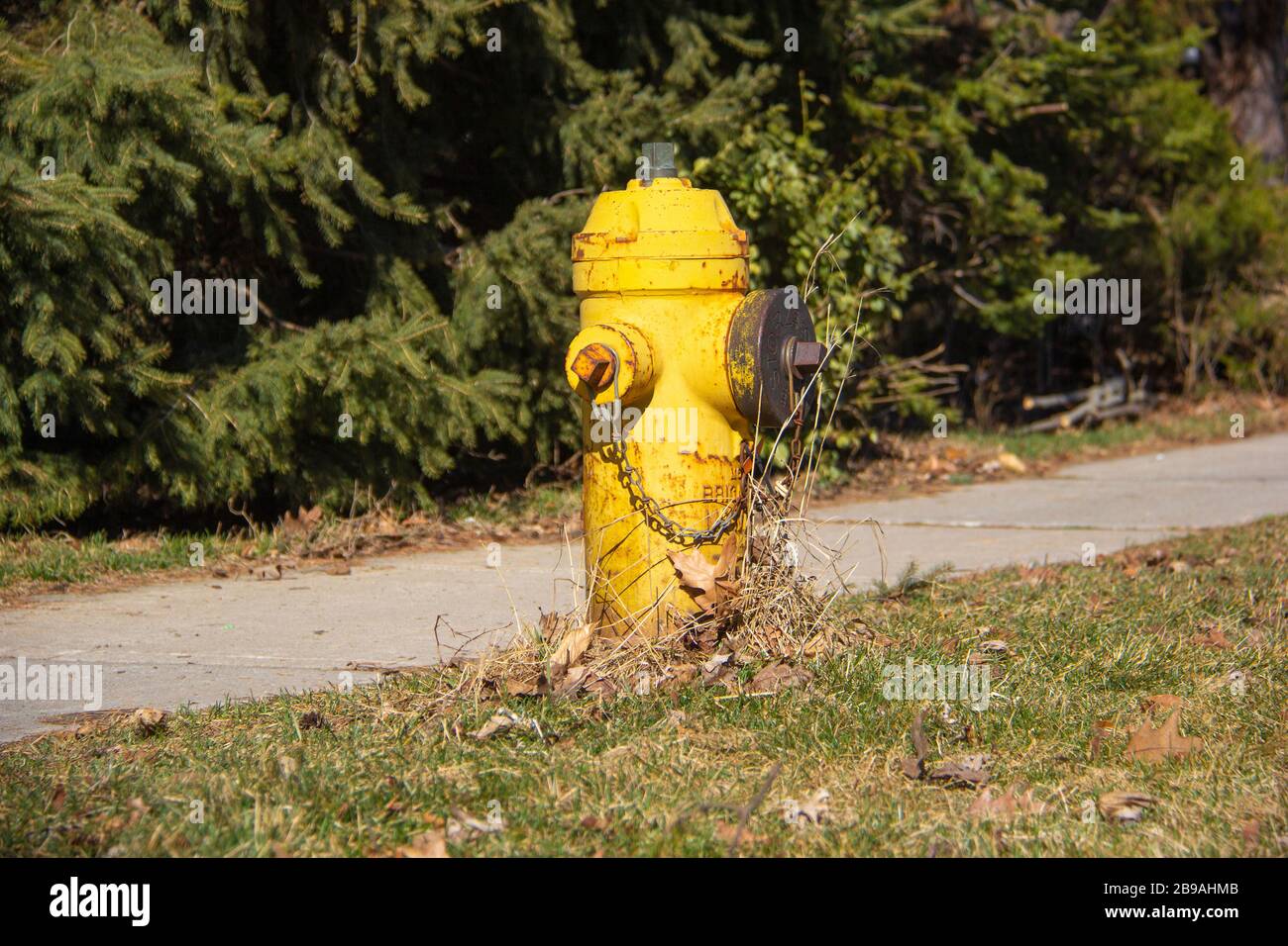 Yellow fire hydrant Stock Photo Alamy
