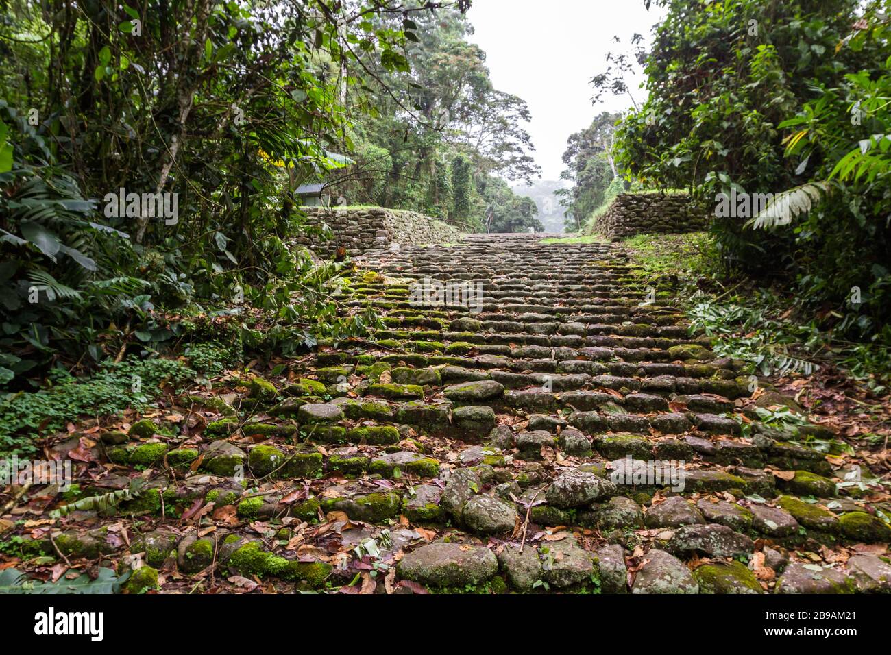 Ruins of an ancient civilization that thrived for over two thousand years in the mountains of Costa Rica, leaving behind stone work showing advanced k Stock Photo