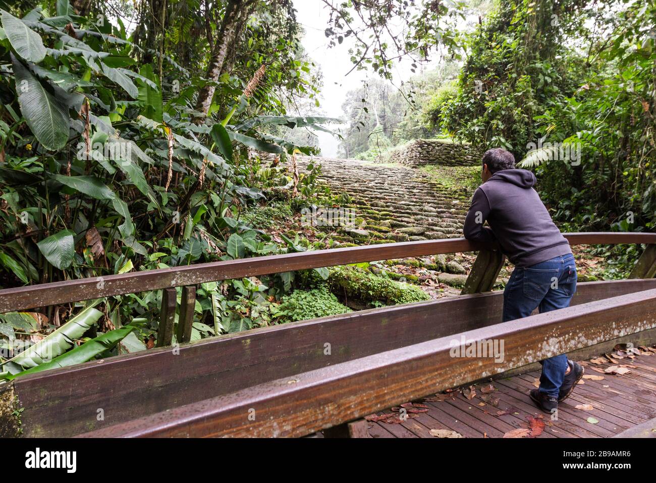 Man standing on a bridge admiring the ruins of an ancient civilization that thrived for over two thousand years in the mountains of Costa Rica. Stock Photo