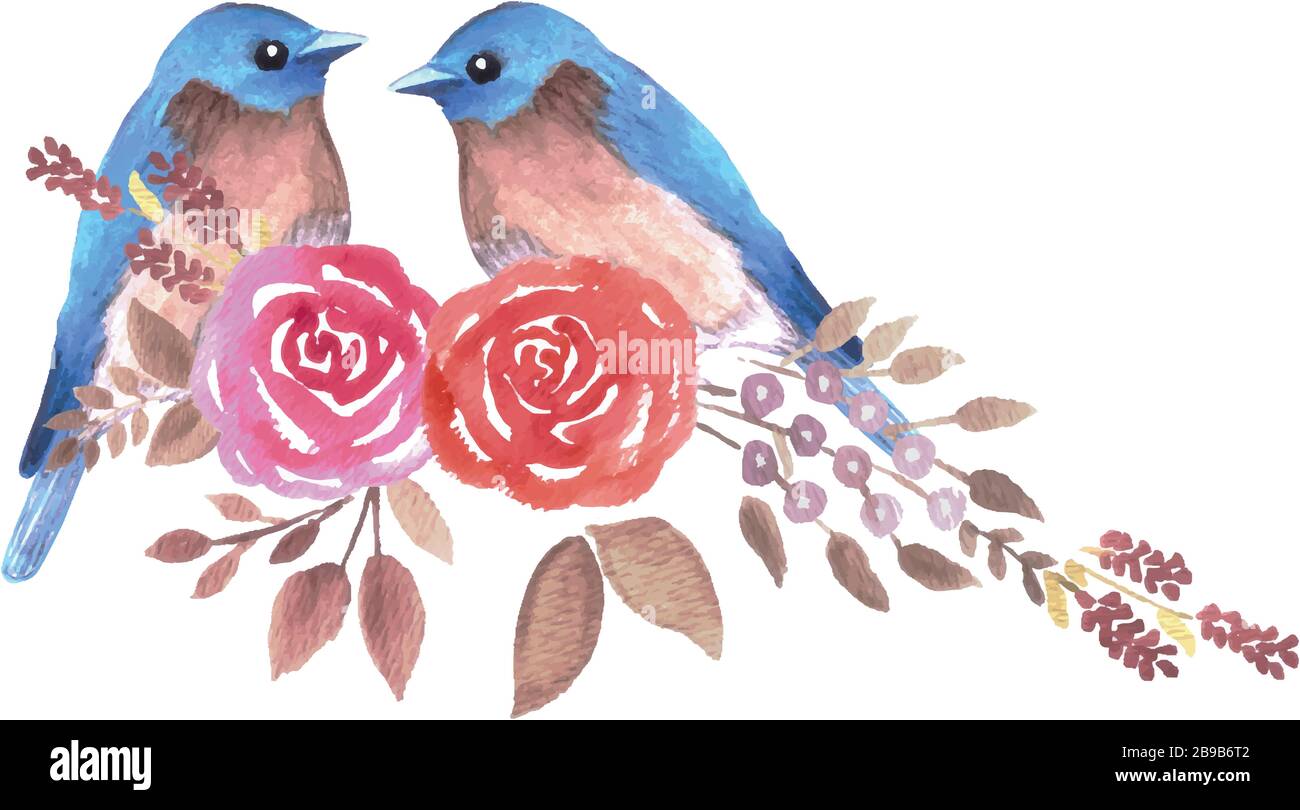 Eastern bluebird or Sialia sialis couple on red roses watercolor artwork Stock Vector