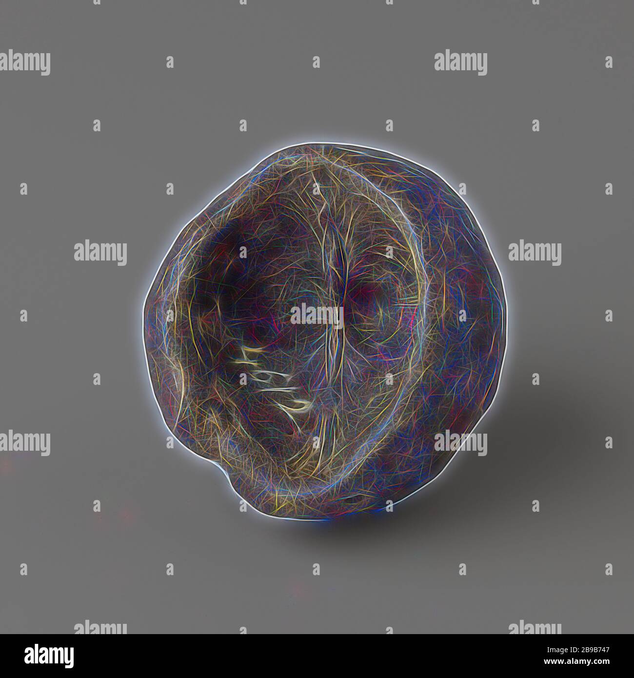 Shell Shaped Design High Resolution Stock Photography And Images Alamy