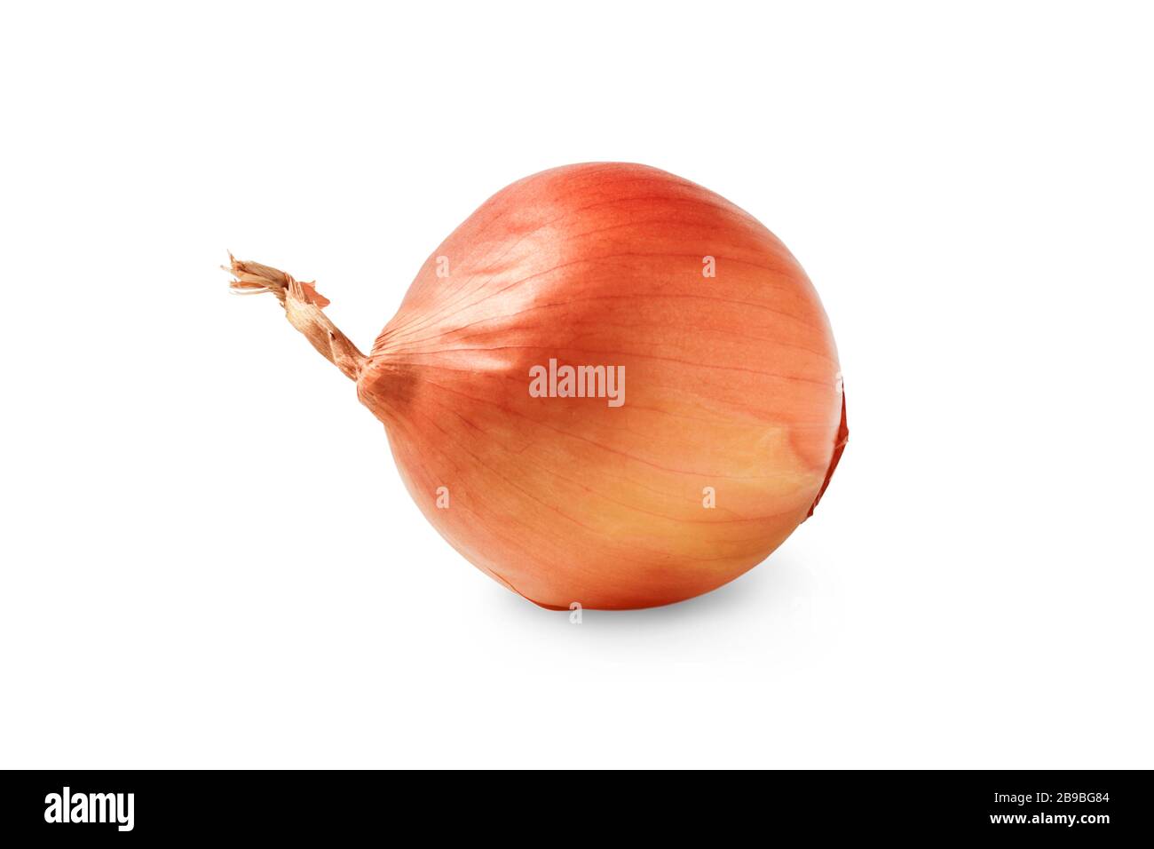 Onion isolated on white Stock Photo