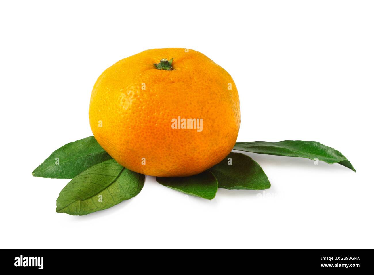 Ripe tangerine with leaves isolated on white background Stock Photo
