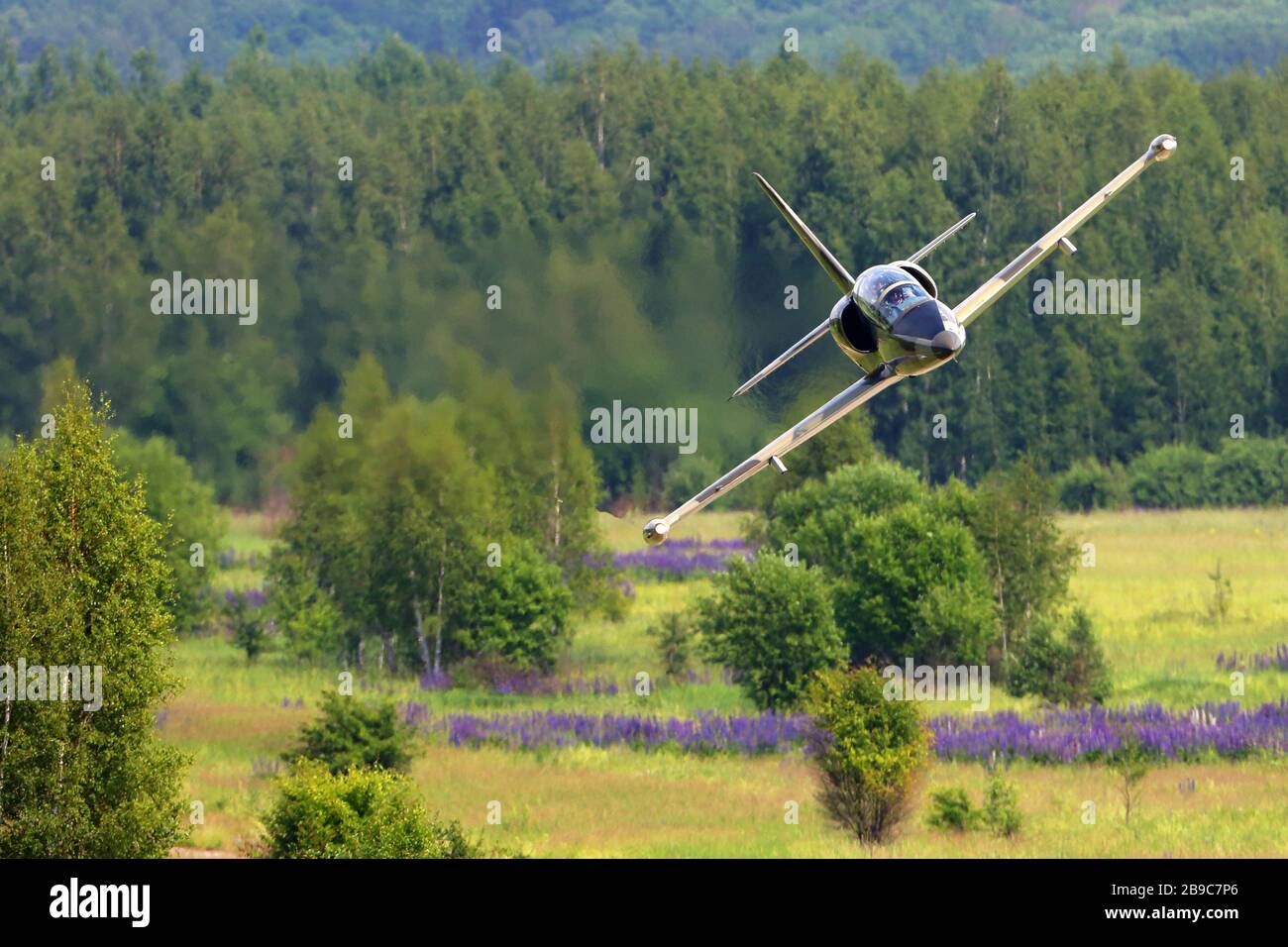 L-39C Albatros performing low pass, Oreshkovo, Russia. Stock Photo