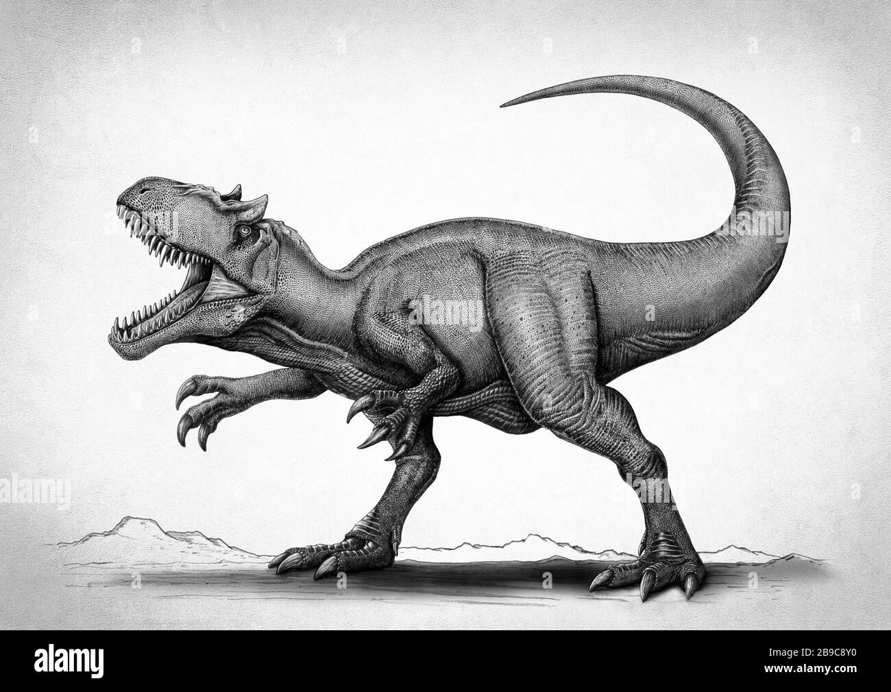 Allosaurus fragilis dinosaur, black and white drawing. Stock Photo