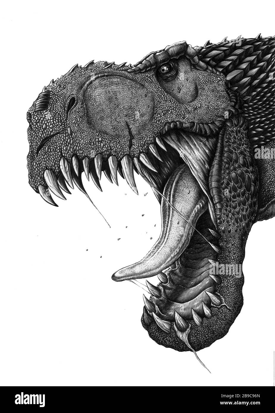 Hybridized Tyrannosaurus dinosaur head. Stock Photo