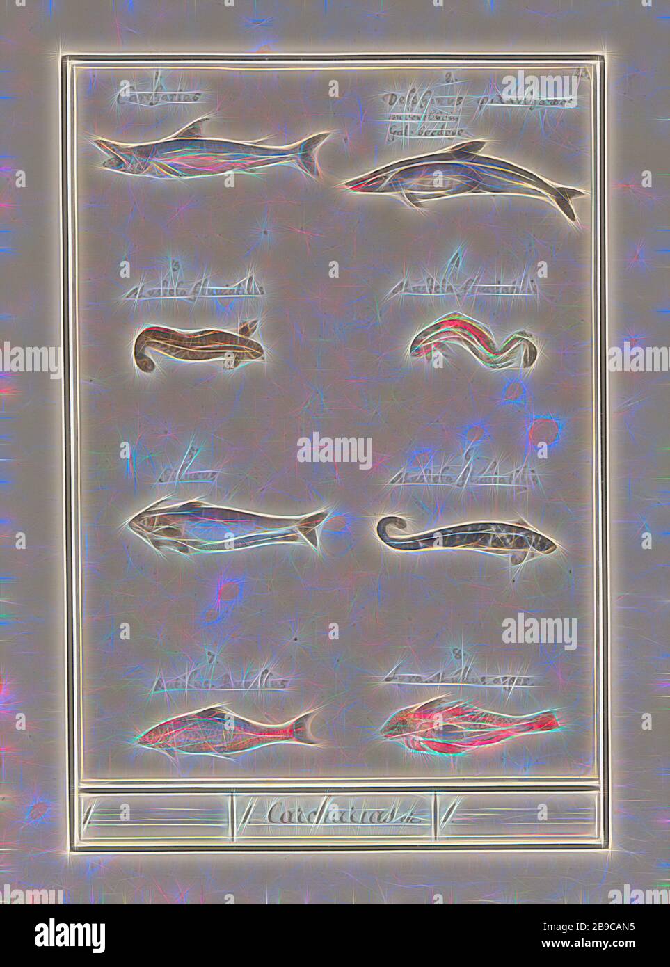 Sheet with eight different fish, 1. Carcharias (title on object), Sheet with eight different fishes, numbered 1-8. With the Latin names. Numbered top right: 23. Part of the sixth album with drawings Sheet with eight different fish, 1. Carcharias (title on object), Sheet with eight different fishes, numbered 1-8. With the Latin names. Numbered top right: 23. Part of the sixth album with drawings